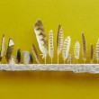 Feathers